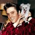 Elvis Presley のアバター