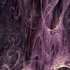 Avatar for lanelewiss