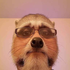 Avatar for lightly_