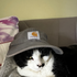 Avatar de Jacob_kelly2002