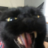 Avatar for p1nkth1ngs