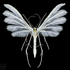 Avatar for Hiji450Hiji