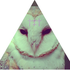 Avatar for Nasty_Dread