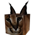 Avatar für entslaia