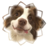 Avatar for muttvamp