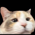 Avatar for vonsh1101