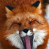 Avatar for Siae