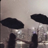 regina_13 的头像