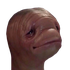 Avatar for Joseph16