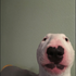 Avatar for coolstuf1234
