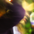 Avatar for LuzieWitte