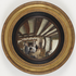Avatar for shrinkingmaps
