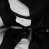 Avatar for heartgirl18