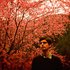 Avatar de Goldmund