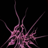 Avatar de insulina_
