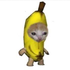 Avatar for joebananay