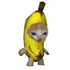 joebananay için avatar