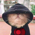 Avatar for mymorningrass
