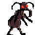Avatar for needaprii