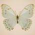 Avatar di juliabeatriste