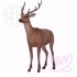Avatar for user_8