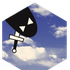 biooko için avatar