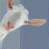 Avatar for flafofca
