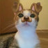 Avatar für katenly