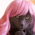 Avatar für MissMeowMeow