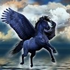 Avatar for pegasuspam