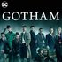Gotham 的头像