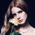 Lana Del Rey 的头像