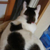 Avatar di user7537