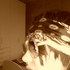 LudoRock için avatar