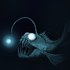 Avatar for TheFisher0Man