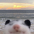 Avatar for Zsofi6