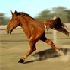 Avatar de red_special_63