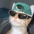Avatar for laurw