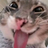 Avatar de g0r3y_glam