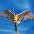 Avatar di snowy_owl_girl