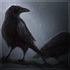 Avatar for Kayraven