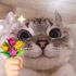 Juliasdsfb 的头像