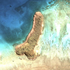 Avatar di Dickboi
