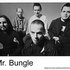 Avatar för Mr.Bungle