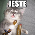 Avatar for Pedezet