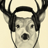 Avatar for thedeercrossing