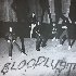 Bloodlust 的头像