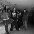 Avatar för Disgorge