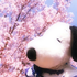 Avatar for iluvsnoopy