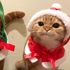 CrisH20 さんのアバター